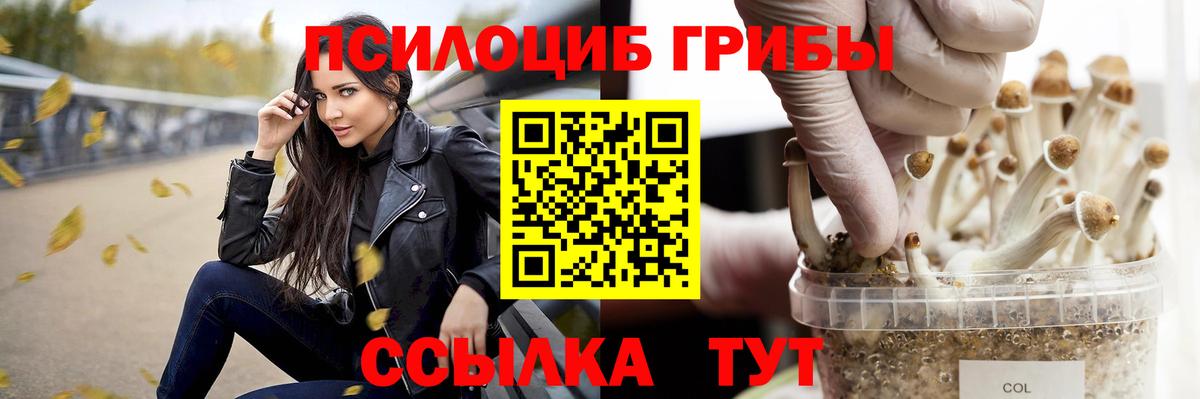 Псилоцибиновые грибы GOLDEN TEACHER  Вход с VPN  Асино 